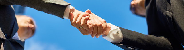 Project support until final acceptance